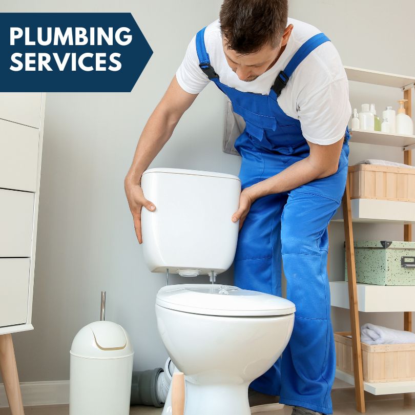 Plumbing Company in Safety Harbor, FL